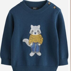 Sweater with Raccoon Design